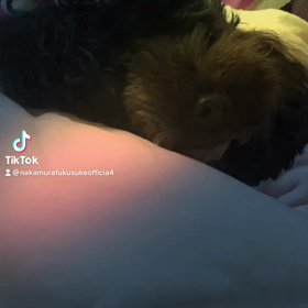 2023/02/25の画像