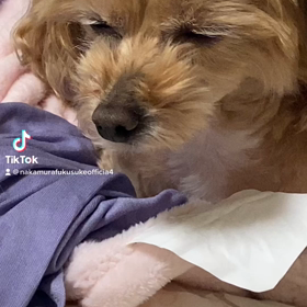 2023/01/29の画像