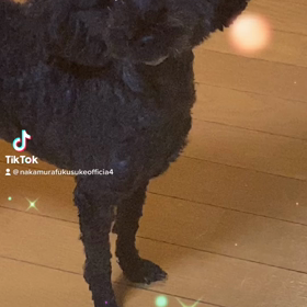 2023/01/27の画像