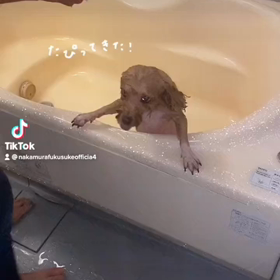 2023/01/13の画像