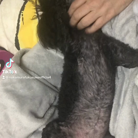 2023/04/11の画像