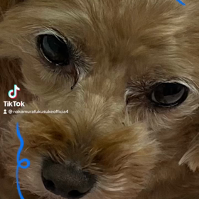 2022/09/17の画像