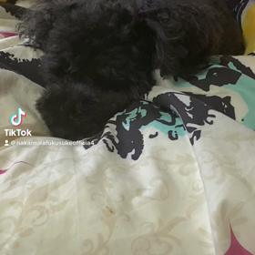 2023/01/24の画像