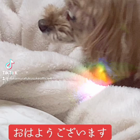 2023/01/05の画像