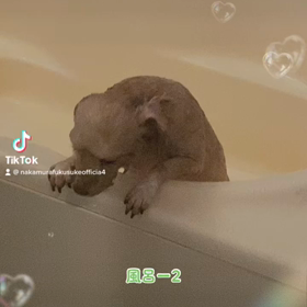 2023/01/31の画像