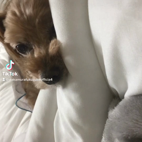 2023/03/20の画像