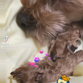 2022/11/21の画像