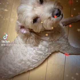 2023/01/15の画像