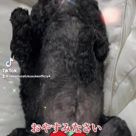 2023/01/28の画像