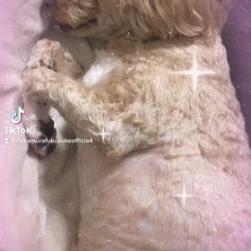 2023/01/19の画像