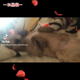 2023/01/12の画像