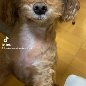 2023/03/29の画像