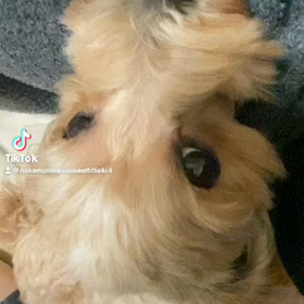 2023/02/04の画像
