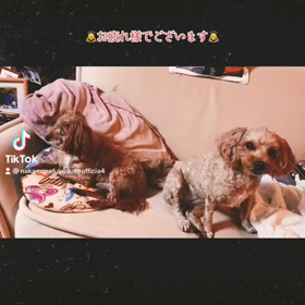 2023/01/06の画像