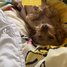 2023/04/26の画像