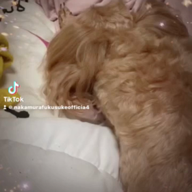 2023/04/29の画像