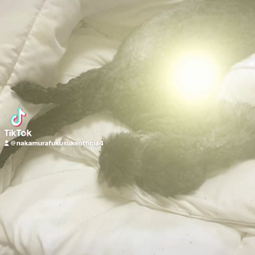 2023/04/25の画像