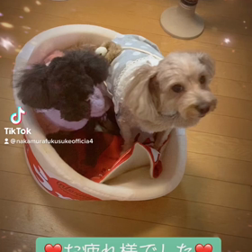 2023/01/12の画像
