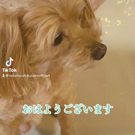 2023/01/06の画像