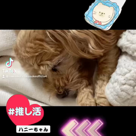2022/12/05の画像