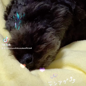 2022/11/02の画像