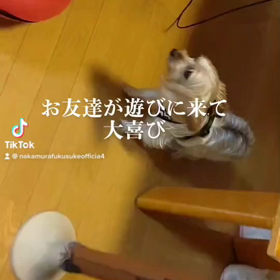 2022/08/23の画像