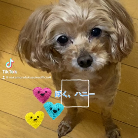 2023/01/25の画像