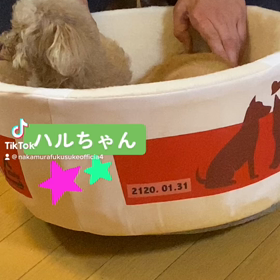 2023/02/09の画像