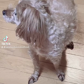 2023/01/10の画像