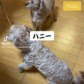 2022/12/26の画像