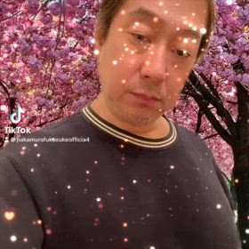 桜が咲いてきましたの画像