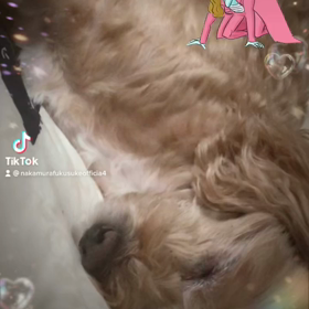 2023/01/10の画像