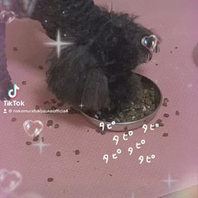 2023/01/21の画像