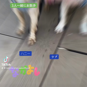 2023/01/10の画像