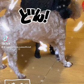 2022/12/19の画像
