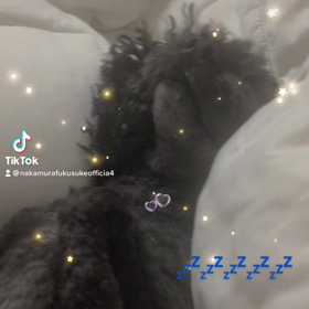 2022/11/30の画像