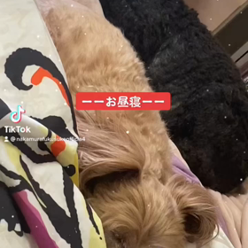 2023/01/07の画像
