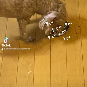 2023/02/15の画像