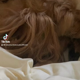 2023/01/18の画像