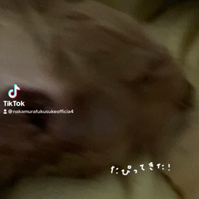 2022/12/10の画像