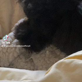 2023/01/18の画像
