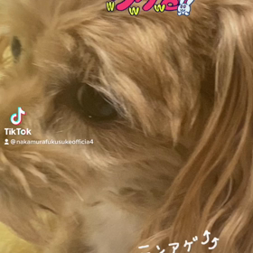 2022/11/25の画像