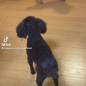 2023/01/26の画像