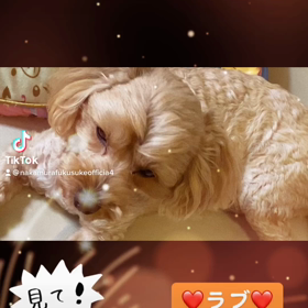 2023/01/02の画像