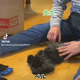 2023/02/02の画像