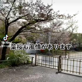 2023/04/05の画像
