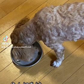 2023/01/06の画像