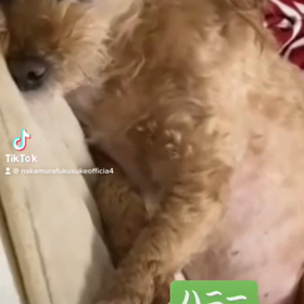 2023/05/15の画像