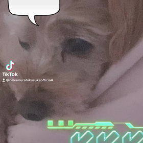 2022/11/06の画像