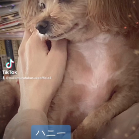 2023/04/07の画像